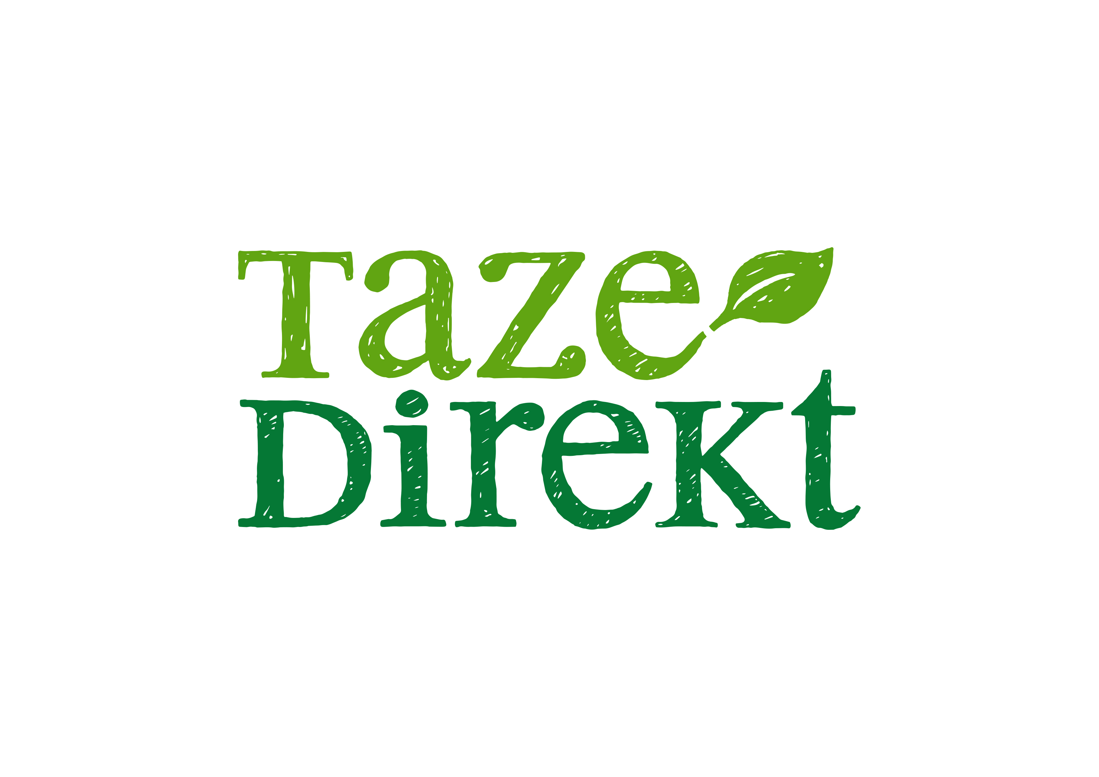 tazedirekt_logo